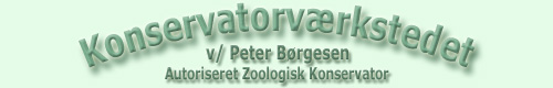 Zoologisk konservator, udstoppe, udstopning, konservering, konservator, taxidermist, udstoppe, jagttrofæer, hovedmontering, opsatse, montering af dyr